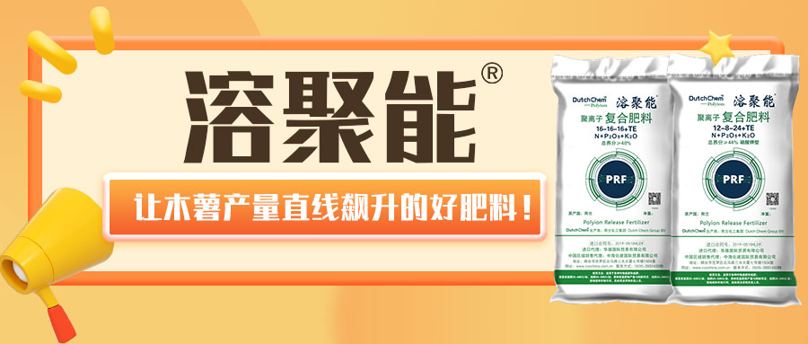 溶聚能®——让木薯产量直线飙升的好肥料！