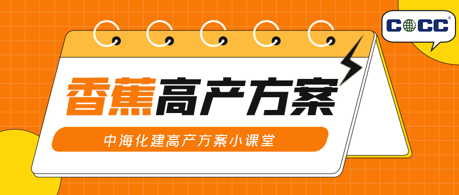 中海化建高产方案小课堂——香蕉高产方案请您签收！