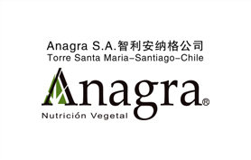 智利安纳格公司